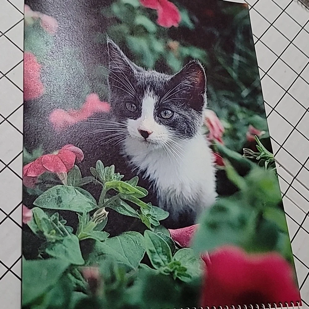 1985 Kittens Calendar by Betty Powell‎ - Vintage